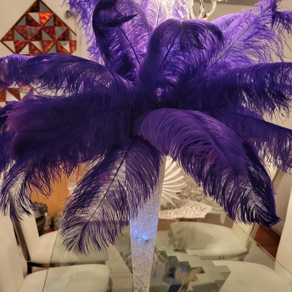 Wedding Trumpet Vases With Ostrich Feathers 6 of them price is price of each - Picture 2 of 9